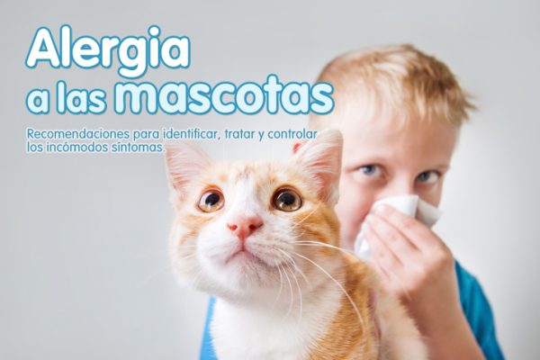 Alergia a las mascotas