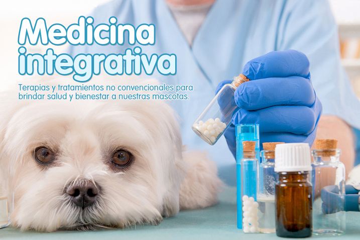 Medicina veterinaria integrativa - Veterinario