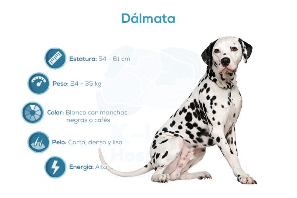 D&aacute;lmata