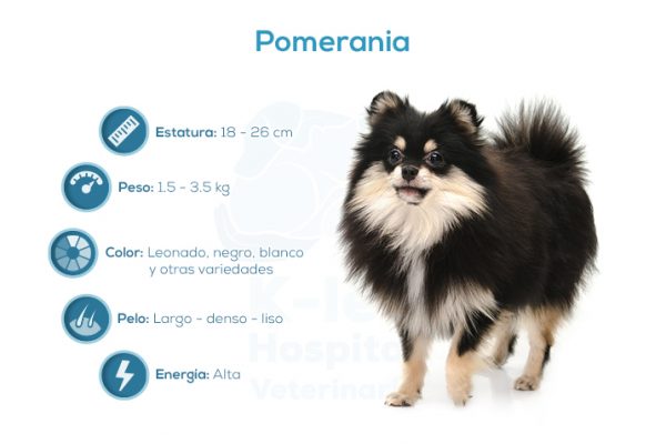 Pomerania