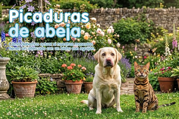Picaduras de abeja